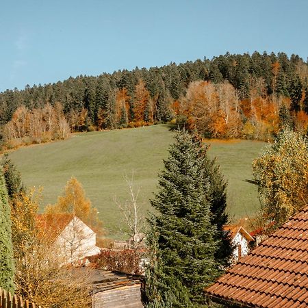 Terrasse Des Monts - Duplex Independant De Charme Apartment Les Hopitaux-Neufs Екстериор снимка